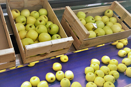 HACCP
